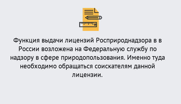 Почему нужно обратиться к нам? Лобня Лицензия Росприроднадзора. Под ключ! в Лобня