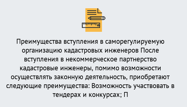 Почему нужно обратиться к нам? Лобня Что дает допуск СРО кадастровых инженеров?