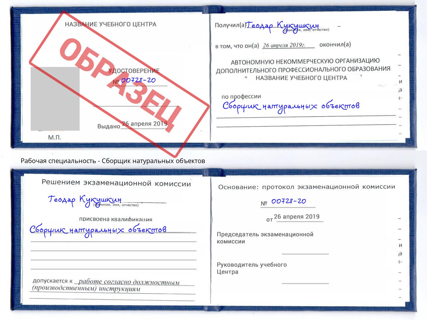 Сборщик натуральных объектов Лобня