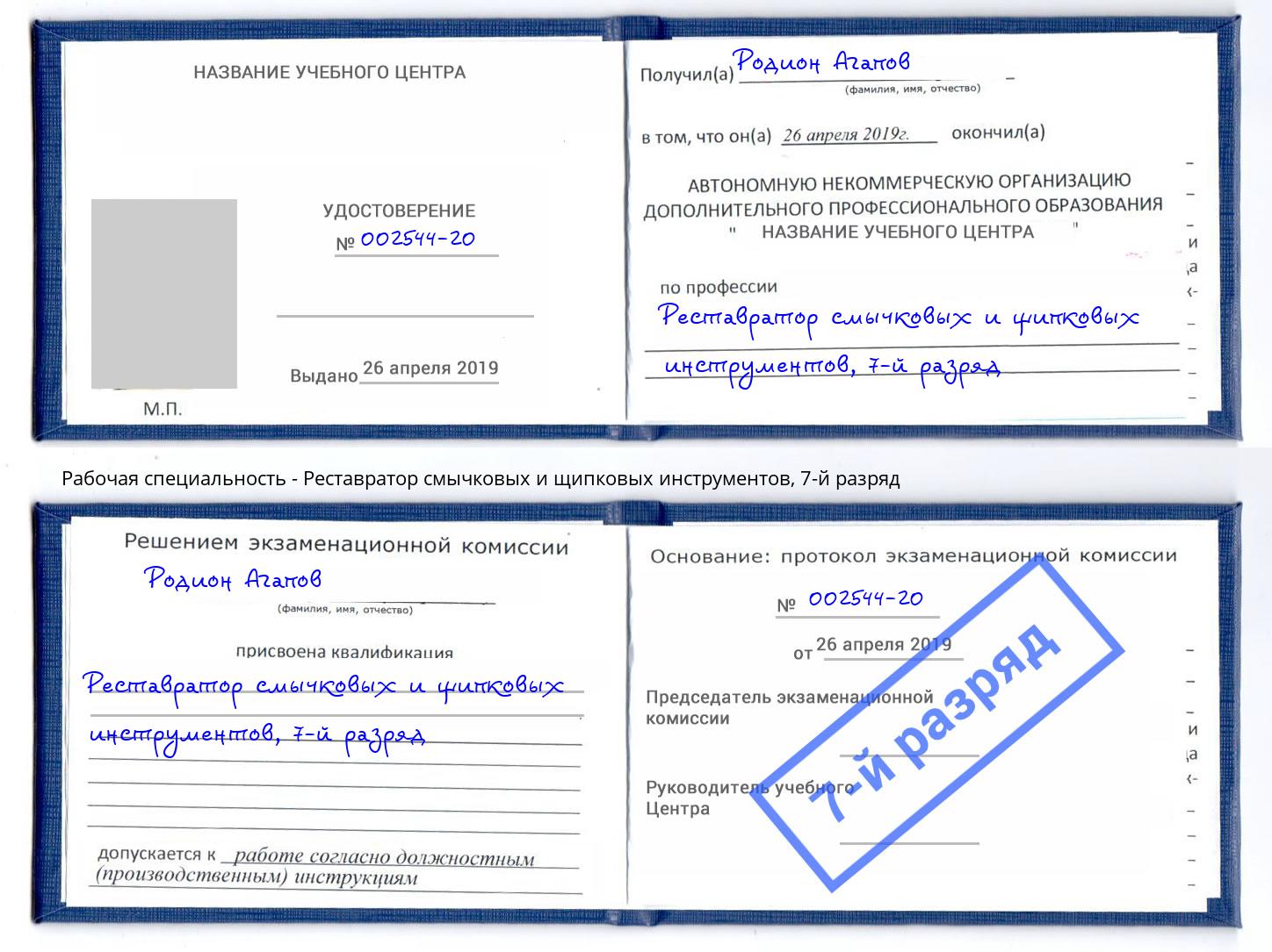 корочка 7-й разряд Реставратор смычковых и щипковых инструментов Лобня