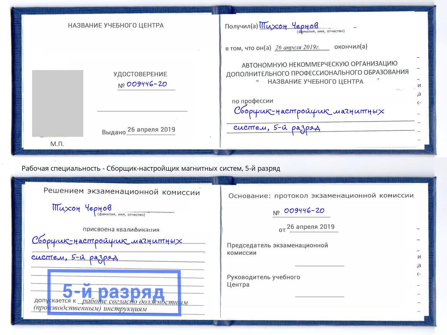 корочка 5-й разряд Сборщик-настройщик магнитных систем Лобня